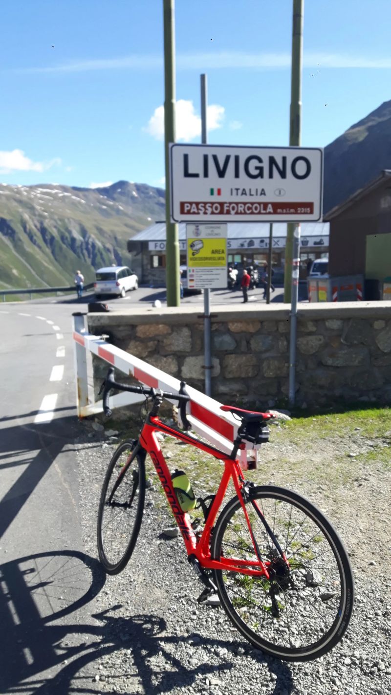 Cannondale Synapse Carbon