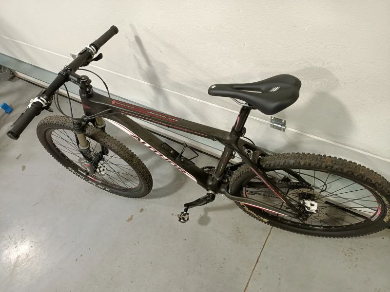 Author Revolt carbon