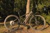 Specialized Rockhopper Elite