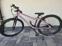 Rascal 24 - Raspberry