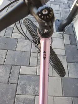 Rascal 24 - Raspberry