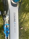 Trek Domane