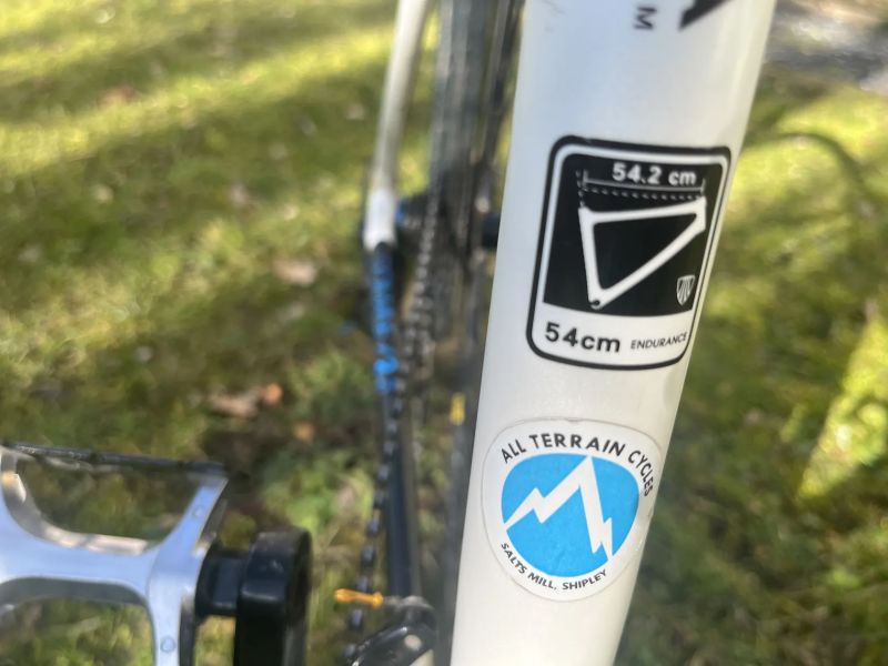 Trek Domane