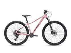 CTM CHARISMA 5.0 MODEL 2025