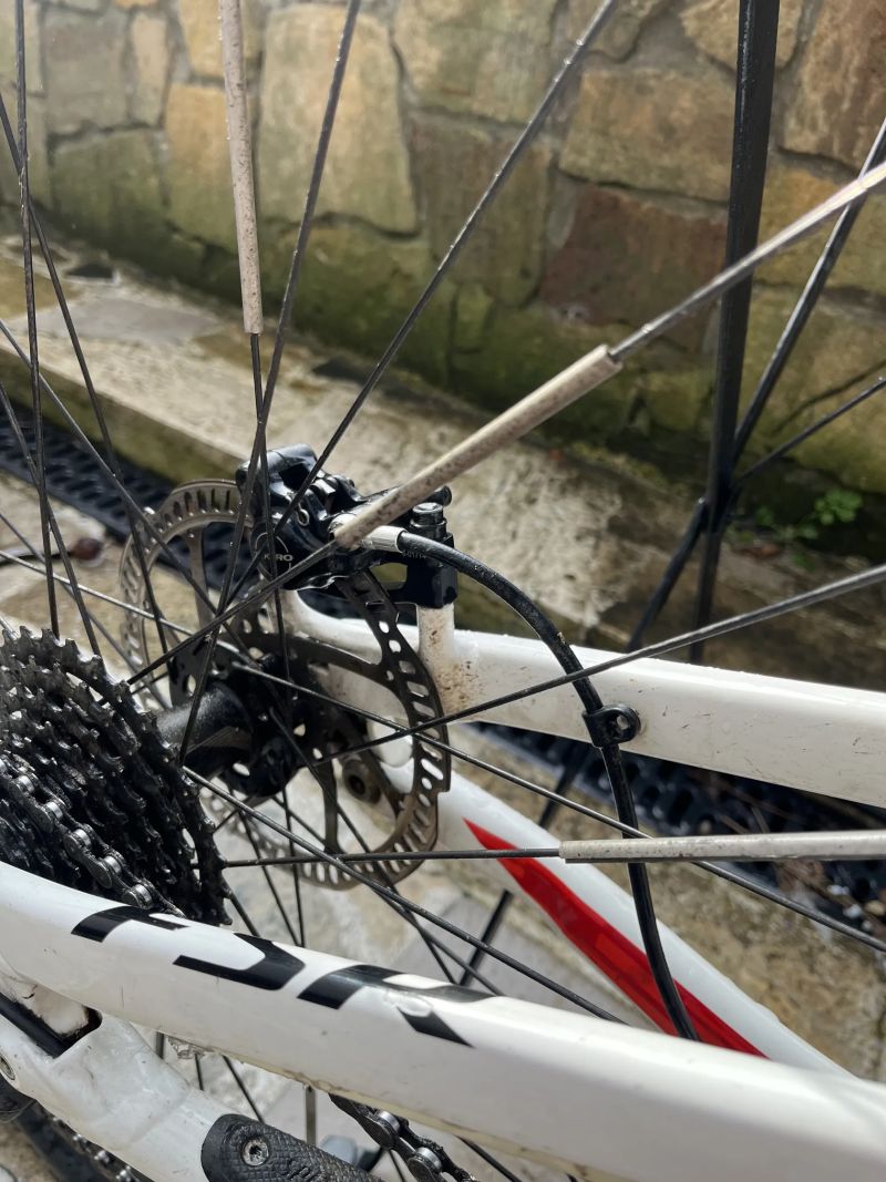 Specialized Camber COMP 