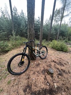 Commencal Meta AM V4 Ohlins edition 