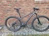 Specialized Rockhopper Sport 29 (2021), velikost M