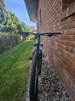 Specialized Rockhopper Sport 29 (2021), velikost M