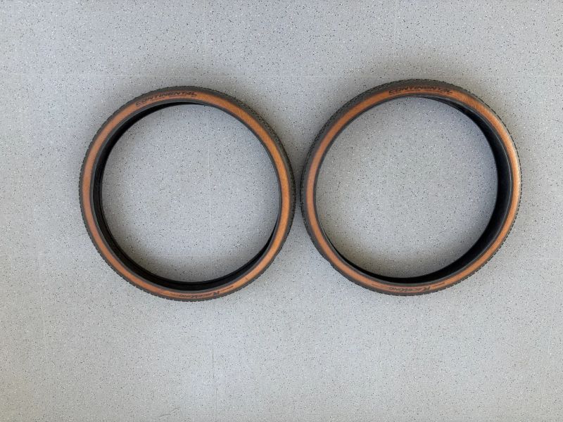 Continetal Race King ProTection Bernstein - 29x2.2