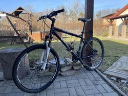 Gary Fisher Tass 26”