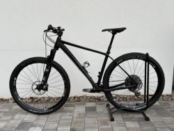 Radon Jealous AL 10.0 HD