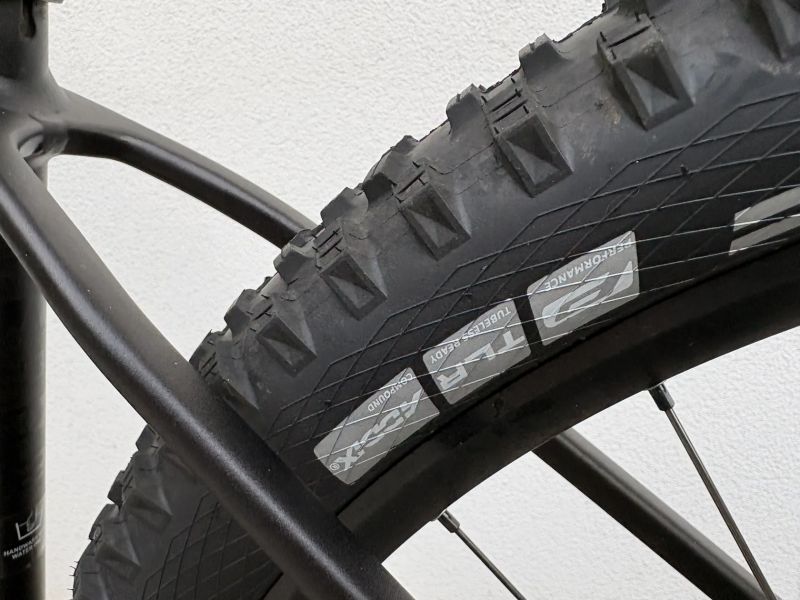 Radon Jealous AL 10.0 HD