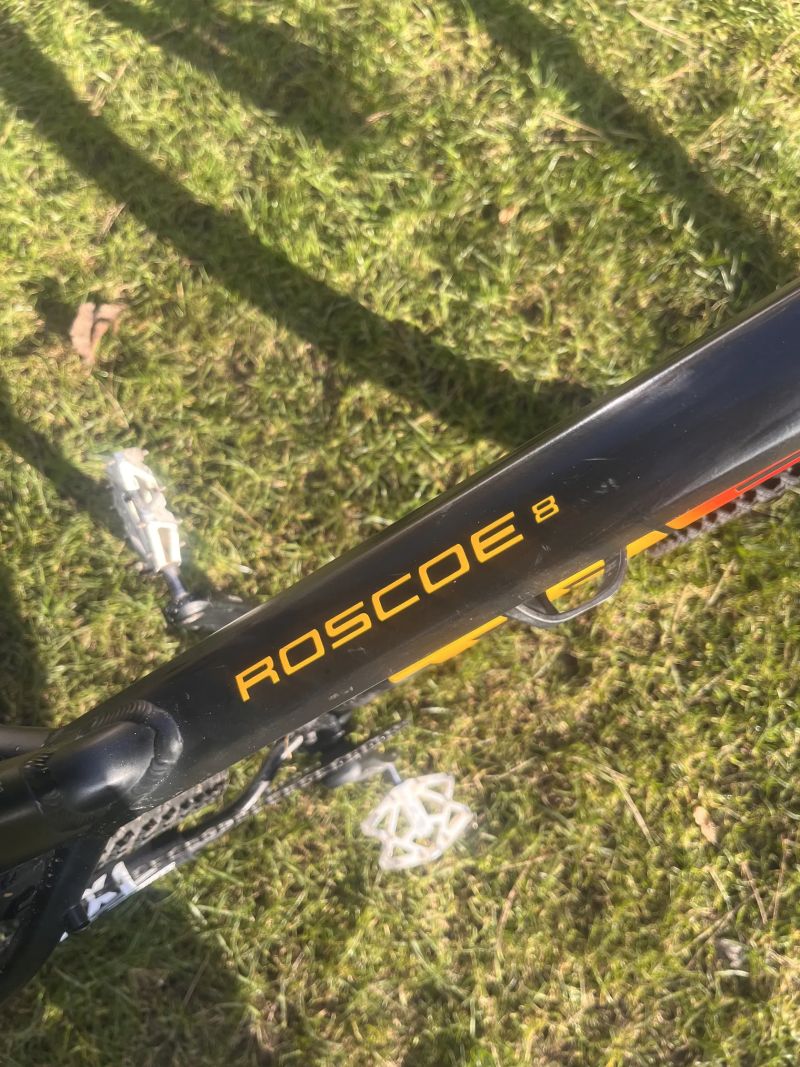 Trek Roscoe 8