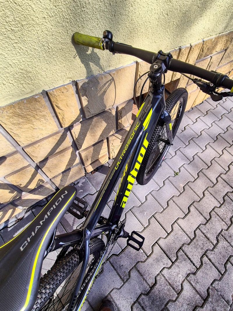 Author Ultrasonic 26 (vel.13,5)