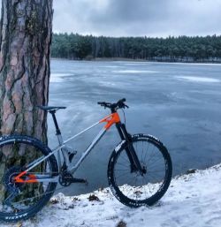 Mondraker Raze Carbon R