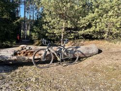 Trek Checkpoint SL5 gen2 2024