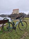 Specialized Diverge sport karbon