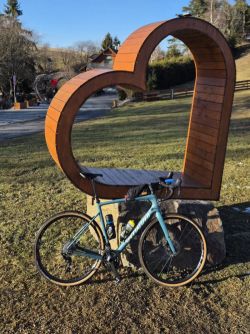 Specialized Diverge sport karbon