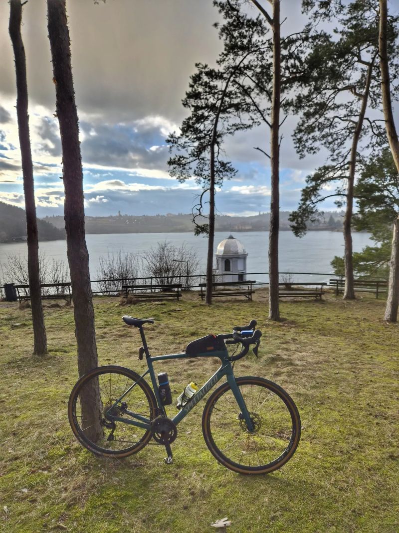 Specialized Diverge sport karbon