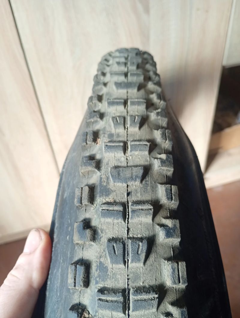 Maxxis Minion DHR II a DHF