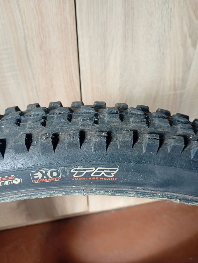 Maxxis Minion DHR II a DHF