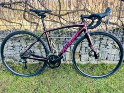 Specialized Roubaix