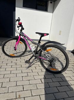 Author Ultima 24 divci horske kolo