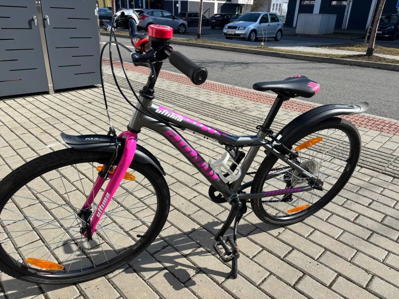 Author Ultima 24 divci horske kolo