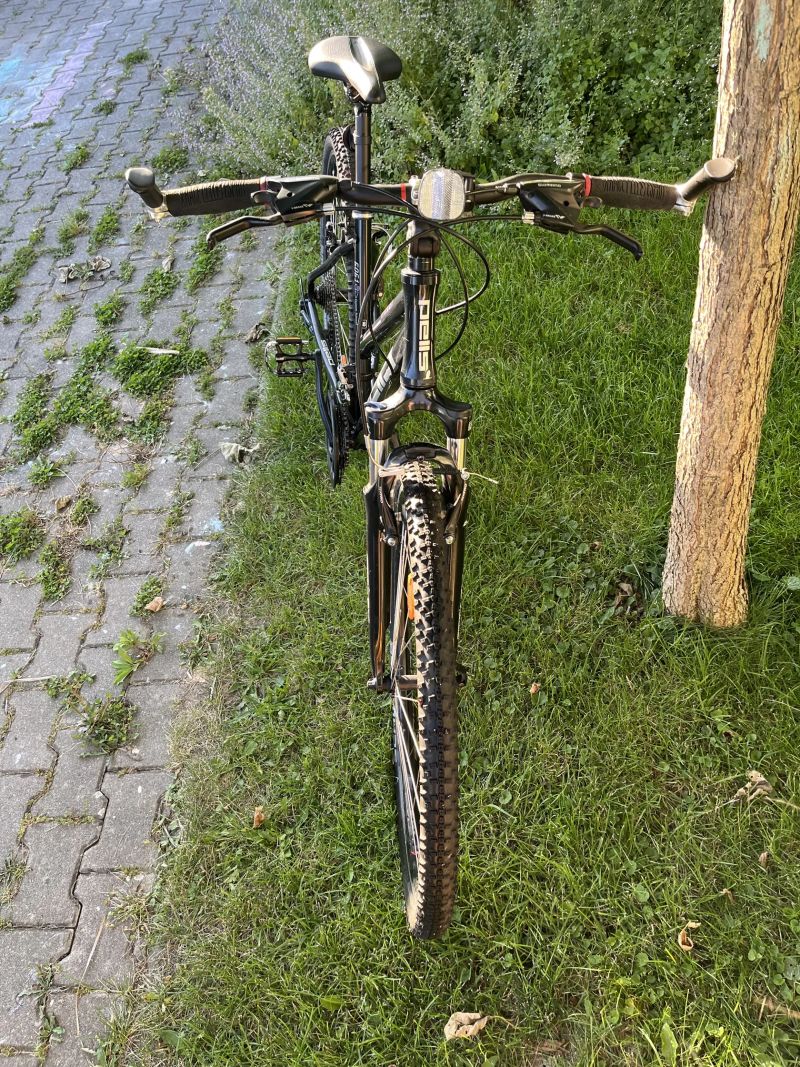 Pells Crono Pro lady