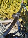 Commencal Meta HT