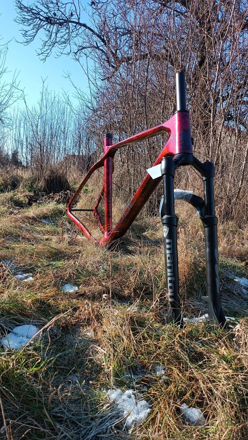 Karbonový rám MTB XC 29 Custom paint