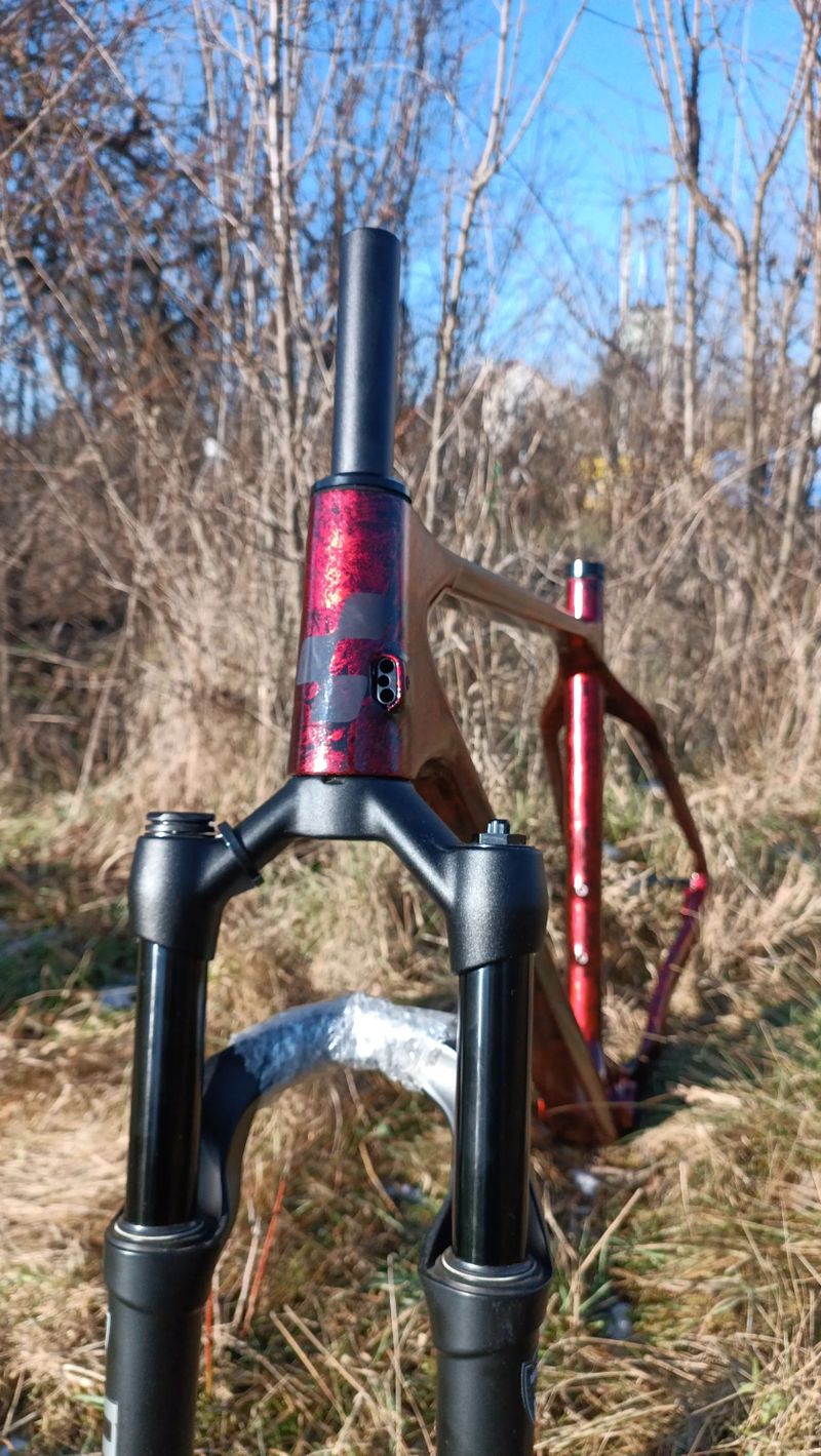 Karbonový rám MTB XC 29 Custom paint