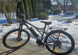 Author Elevation 29"