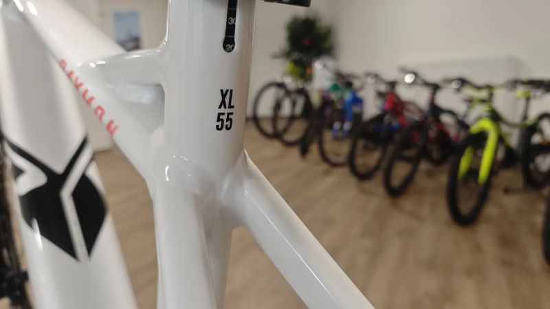 Raymon HardRay E 7.0 White 29" Nové kolo se zárukou ! Ušetříte 41 000 Kč !