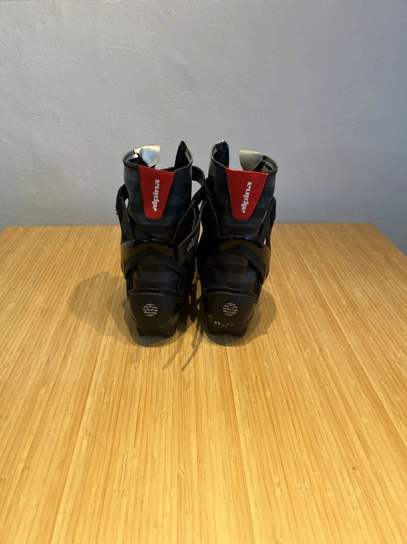 Alpina touring, T20 plus