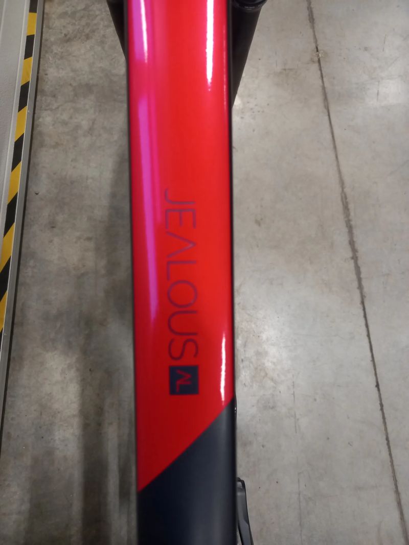 Radon Jealous Al 10.0 vel.M