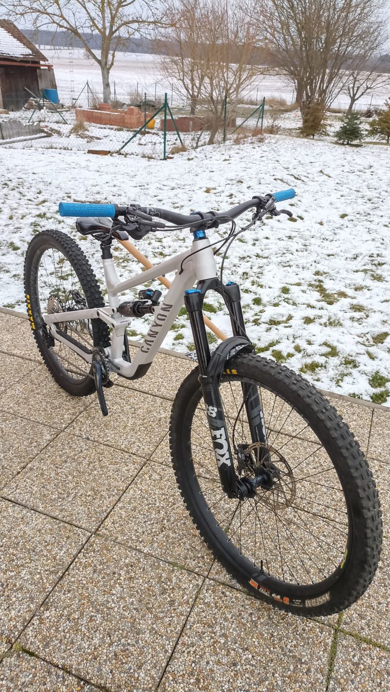 Canyon Torque AL6 29 M