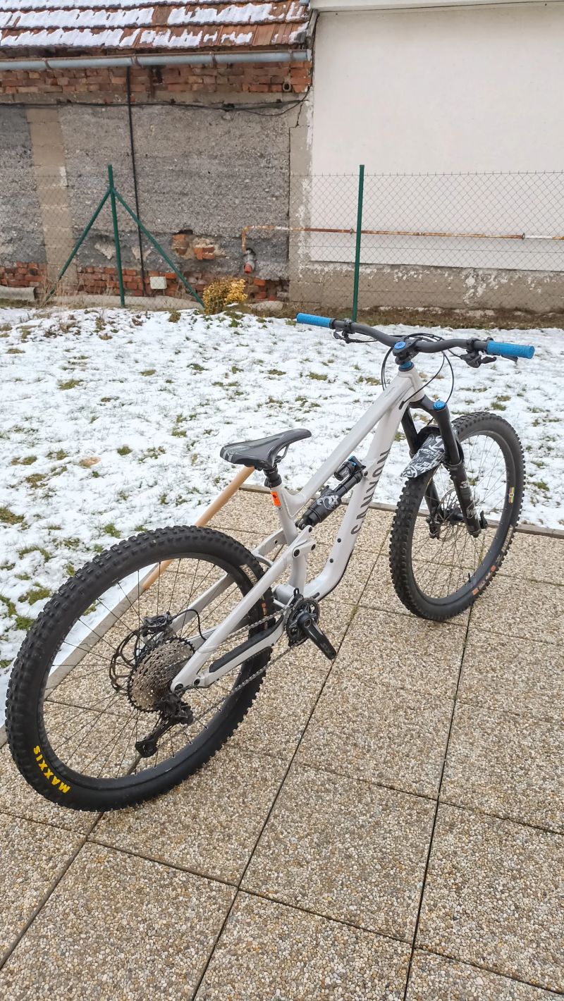 Canyon Torque AL6 29 M