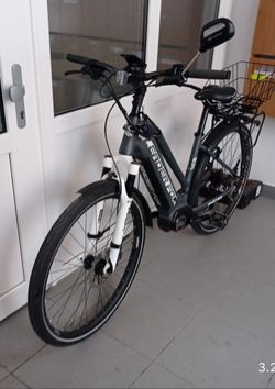 Leader Fox Exeter Lady 18"