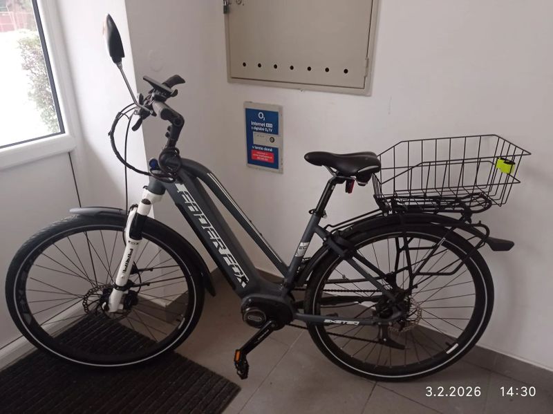 Leader Fox Exeter Lady 18"