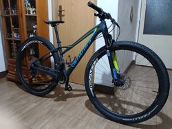Specialized Fate comp