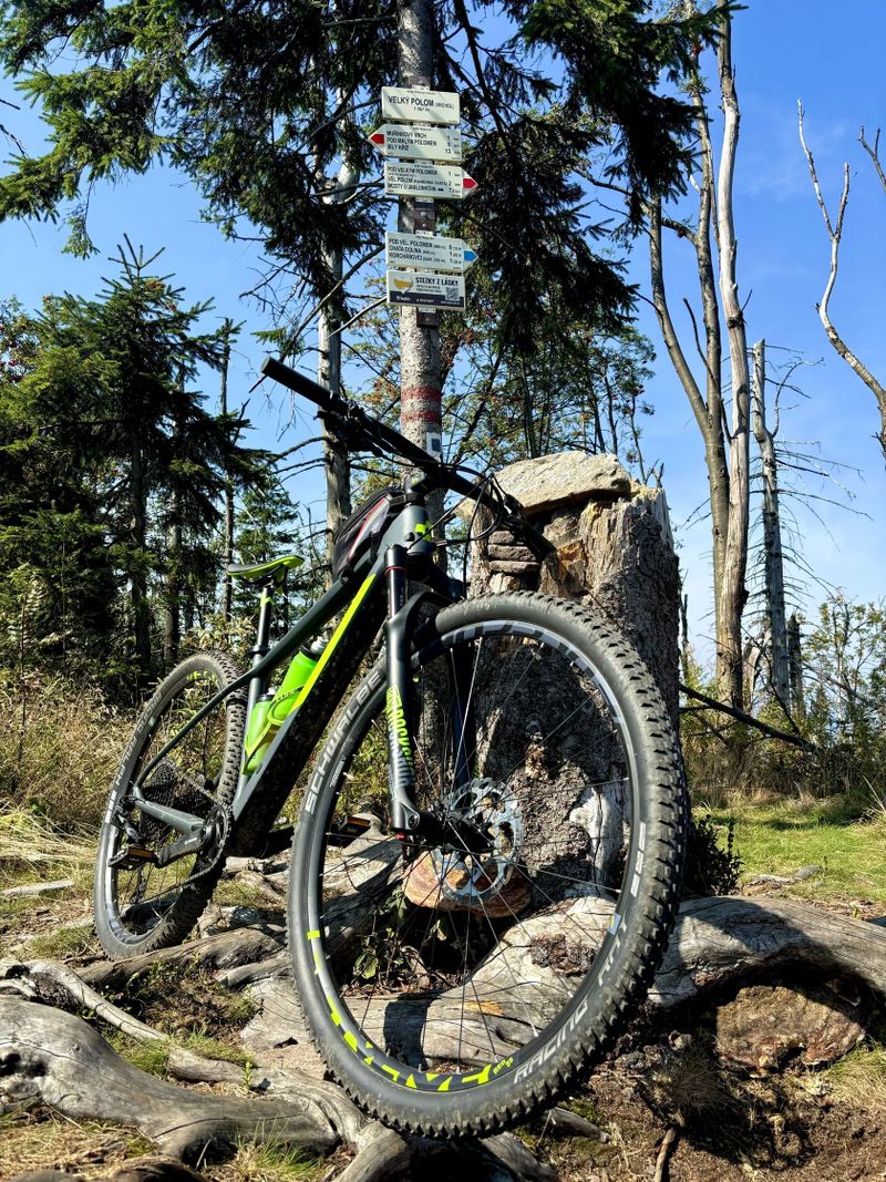 Cube Reaction C:62 Race Eagle, karbon 