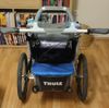 Thule Thule Chariot 1