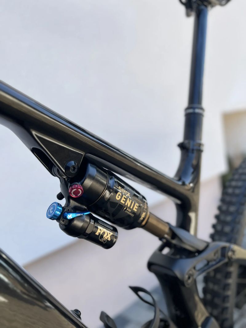 Specialized Turbo Levo