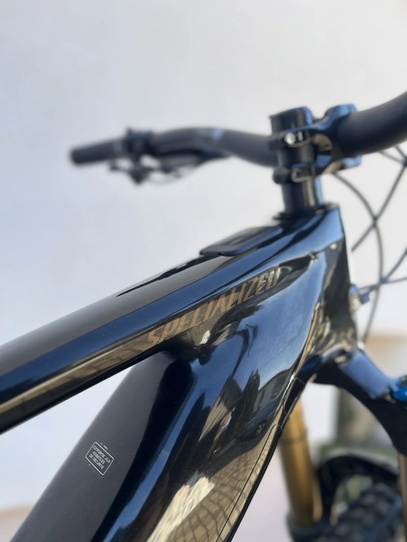 Specialized Turbo Levo