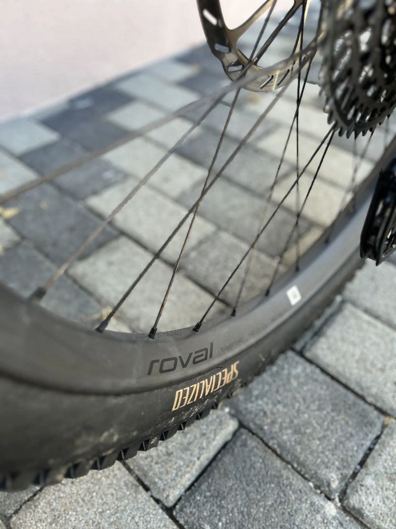 Specialized Turbo Levo