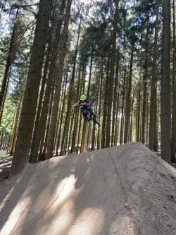 Mondraker Junior F play 26