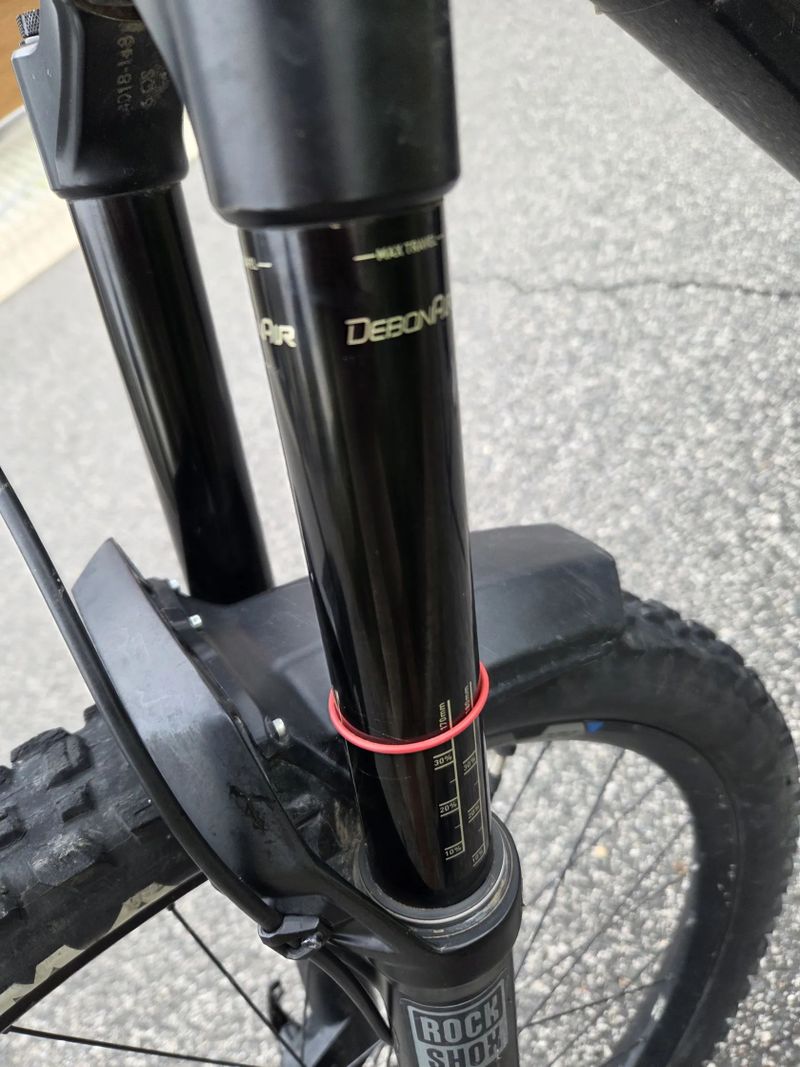 Canyon Canyon Torque CF 7 29