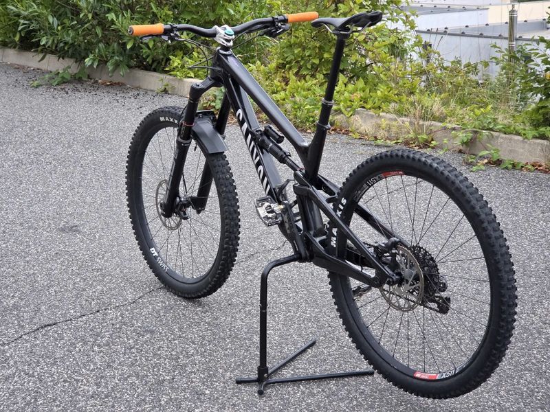 Canyon Canyon Torque CF 7 29