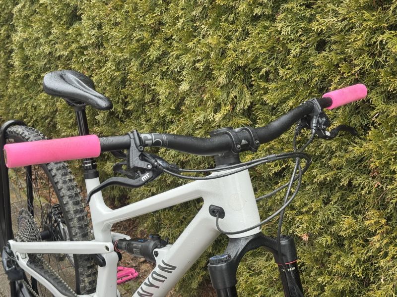 Canyon Spectral 125 CF8 Custom